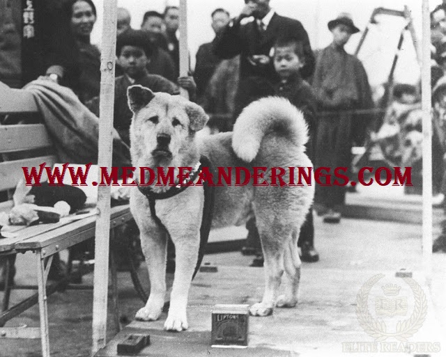 Pelajaran Hidup Dari Hachiko Si Anjing Setia Asal Jepang