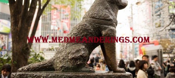 Pelajaran Hidup Dari Hachiko Si Anjing Setia Asal Jepang